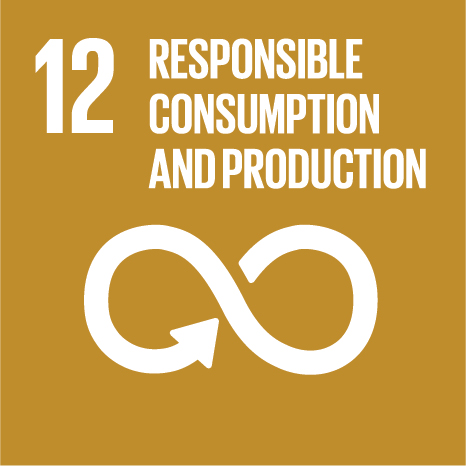 ODS 12 — Producción y consumo responsables